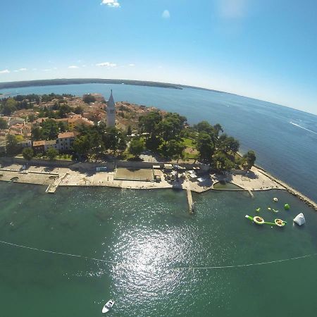 Apartma Jelka Novigrad  Zewnętrze zdjęcie