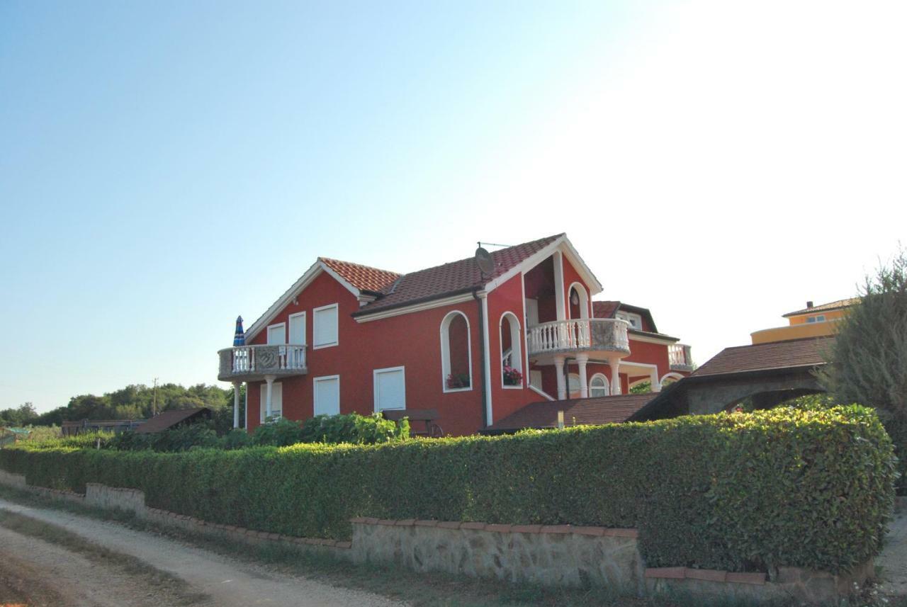 Apartma Jelka Novigrad  Zewnętrze zdjęcie