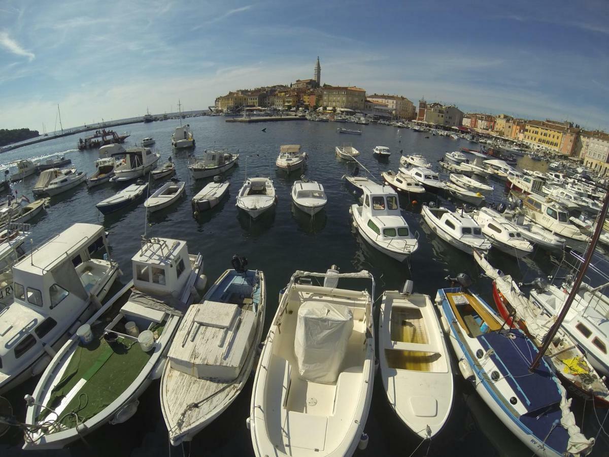 Apartma Jelka Novigrad  Zewnętrze zdjęcie