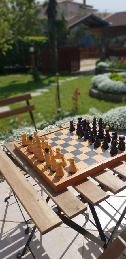Apartma Jelka Novigrad  Zewnętrze zdjęcie