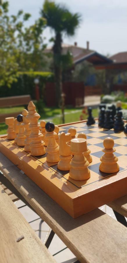 Apartma Jelka Novigrad  Zewnętrze zdjęcie
