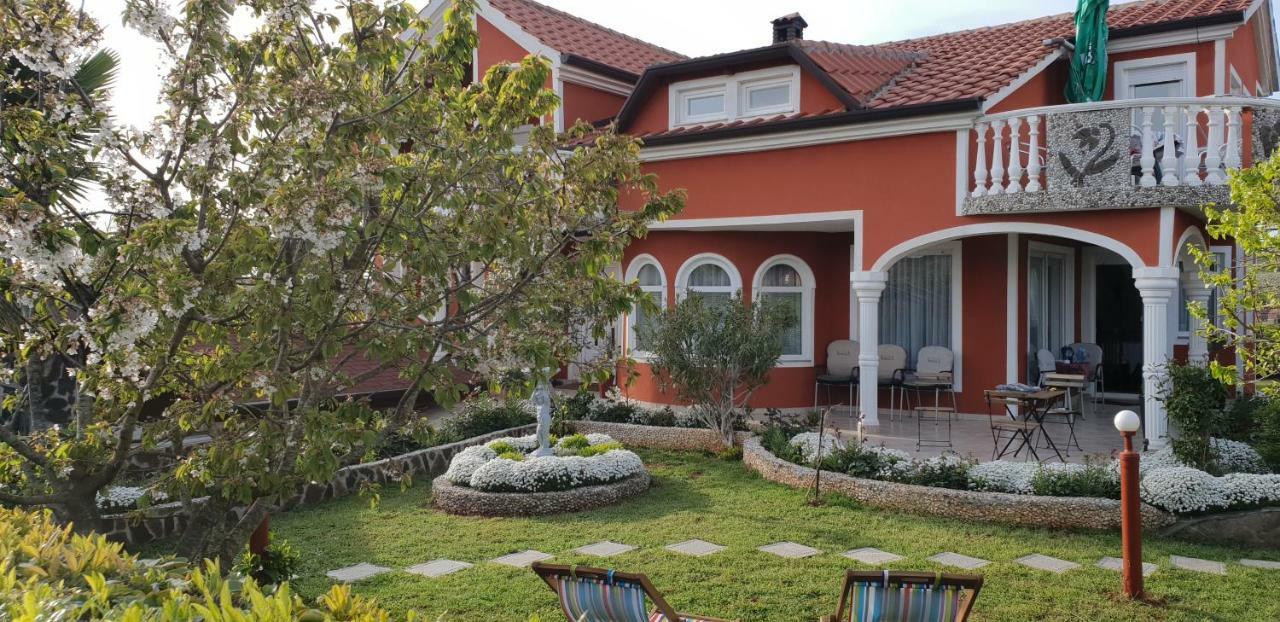 Apartma Jelka Novigrad  Zewnętrze zdjęcie