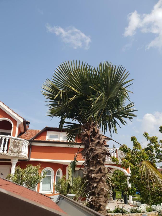 Apartma Jelka Novigrad  Zewnętrze zdjęcie