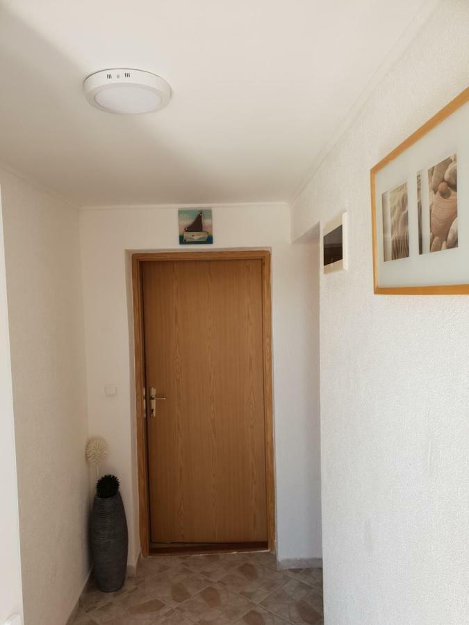 Apartma Jelka Novigrad  Zewnętrze zdjęcie
