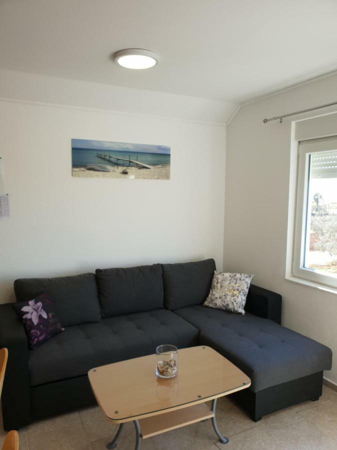 Apartma Jelka Novigrad  Zewnętrze zdjęcie
