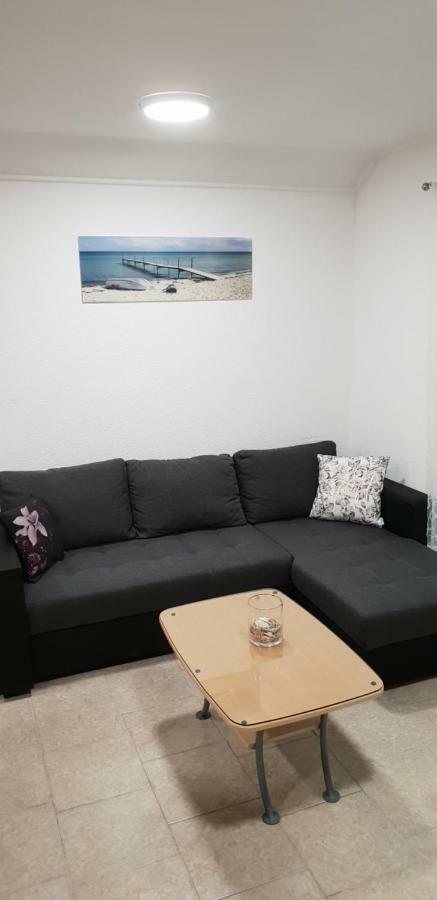 Apartma Jelka Novigrad  Zewnętrze zdjęcie
