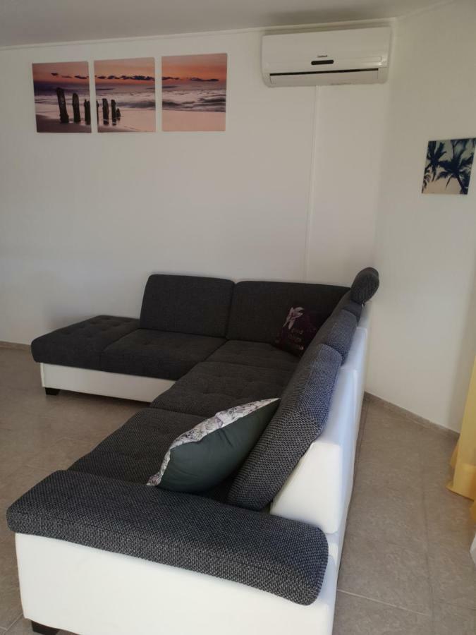 Apartma Jelka Novigrad  Zewnętrze zdjęcie