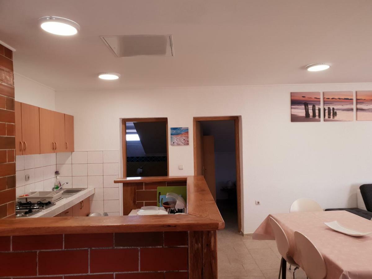 Apartma Jelka Novigrad  Zewnętrze zdjęcie