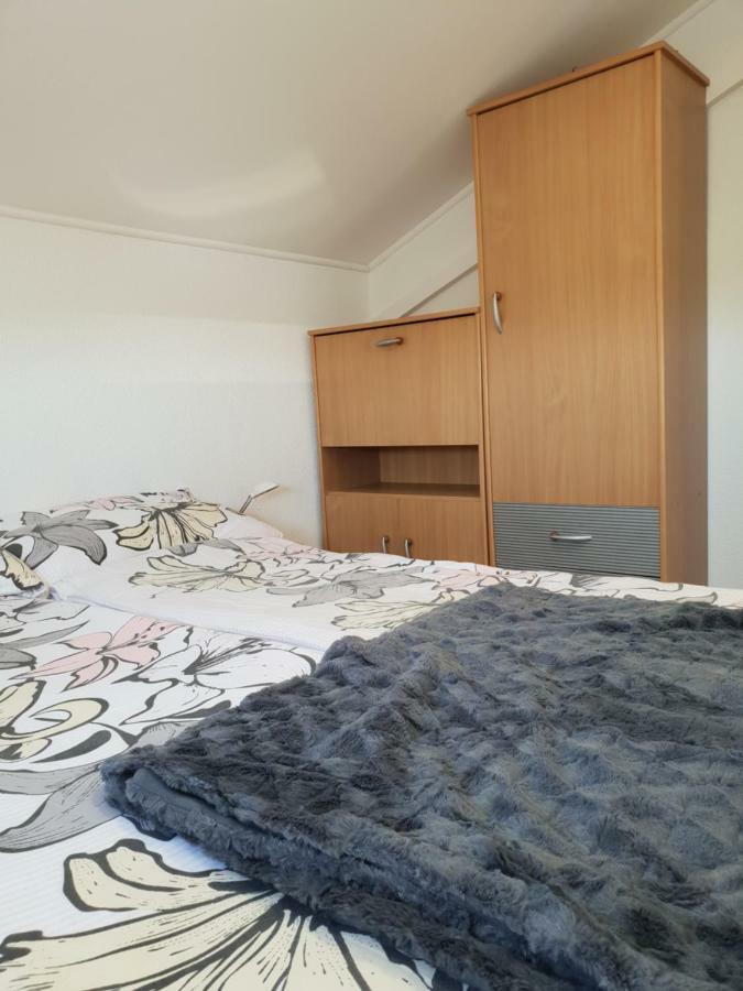 Apartma Jelka Novigrad  Zewnętrze zdjęcie